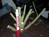 20161030_181120.jpg
