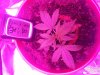 20161107_001400.jpg