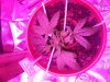 20161110_082050.jpg