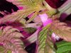 20161110_082106.jpg