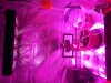 20161110_082254.jpg