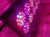 20161107_172813.jpg