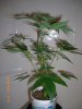 AD_6-26-12 1 DAY 31.JPG