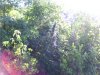 100_5192.jpg