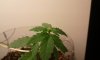 2012-06-29 21.15.46.jpg