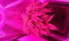 20161116_155958.jpg
