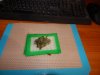 DSCN8285.JPG