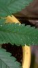 WP_20161116_12_33_05_Pro.jpg
