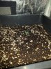 IMG_20161123_173001.jpg