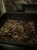 IMG_20161123_173012.jpg
