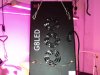 DSC01423.JPG