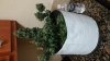 20161128_235744.jpg