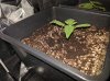 IMG_20161203_103744.jpg