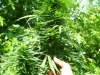 100_5228.jpg