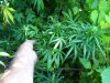 100_5296.jpg