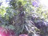 100_5298.jpg