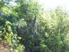 100_5290.jpg