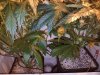 20161217_215009.jpg