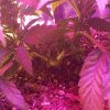 20161223_111019.jpg