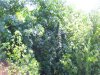 100_5340.jpg