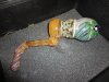 7-11-12 021.jpg