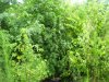 100_5354.jpg