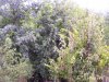 100_5355.jpg