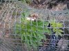 Photo0114.jpg