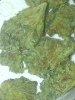 Screen_20120713_115717.jpg