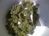IMG-20120707-00862.jpg