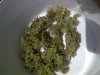 IMG-20120707-00863.jpg