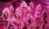 20161225_222924.jpg