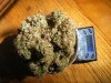 DSCF1204.JPG