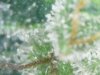 S20170102_0001.jpg