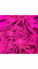 File Jan 04, 9 50 13 AM.png