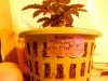 DSCN0259.JPG