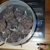 20170111_165355.jpg