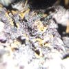 20170111_165543.jpg
