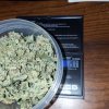 20170111_175217.jpg