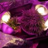 20170112_061004.jpg