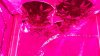 20170116_222351.jpg