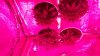 20170116_222341.jpg