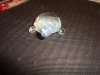 DSC04707.jpg