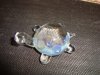 DSC04708.jpg