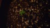 20170117_205338.jpg