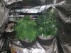 20170118_205735.jpg