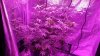 20170118_203052.jpg