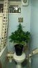WP_20170119_18_32_01_Pro.jpg