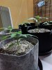 IMG_20170120_175658.jpg
