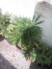 20160617_165640.jpg